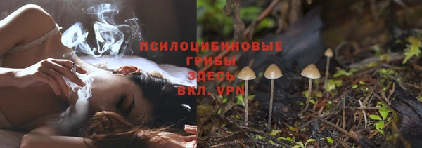 прущий лед Алексеевка
