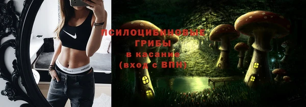прущие грибы Алексин