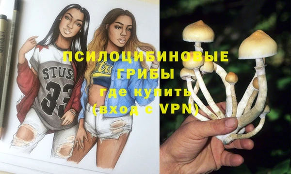 ГАЛЛЮЦИНОГЕННЫЕ ГРИБЫ Алзамай