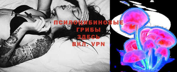прущий лед Алексеевка