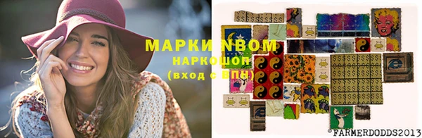 ГАЛЛЮЦИНОГЕННЫЕ ГРИБЫ Алзамай